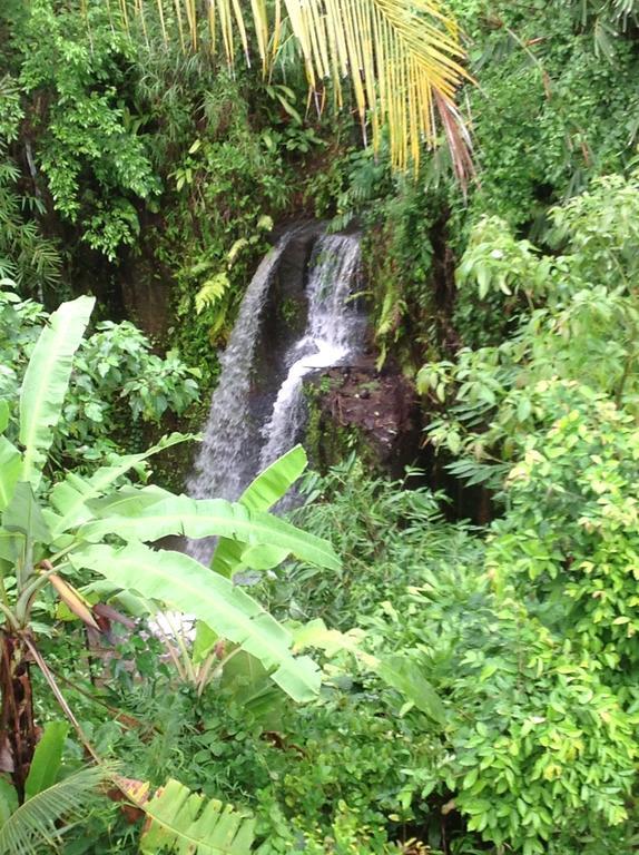Hotel White Lotus Oasis Ubud Esterno foto