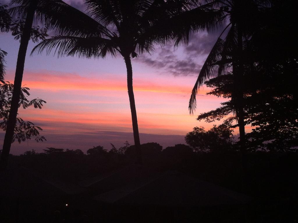 Hotel White Lotus Oasis Ubud Esterno foto