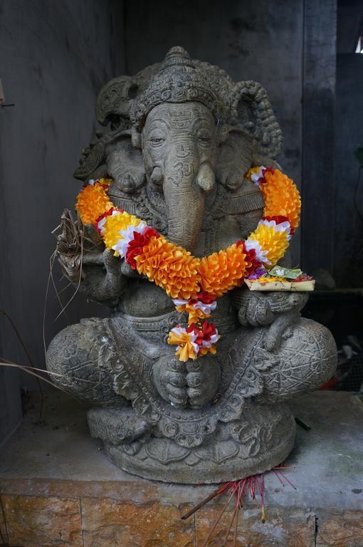 Hotel White Lotus Oasis Ubud Esterno foto